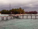 Blick vom Steg auf die Insel