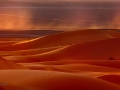 Late afternoon Sahara