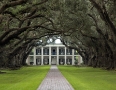 Oak Alley Plantation Louisiana  