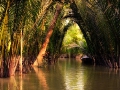 Mekong Delta Vietnam