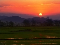 Rice fields somewhere in Vietnam